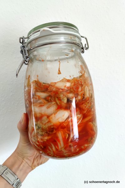 Selbstgemachtes Kimchi vor dem Fermentieren